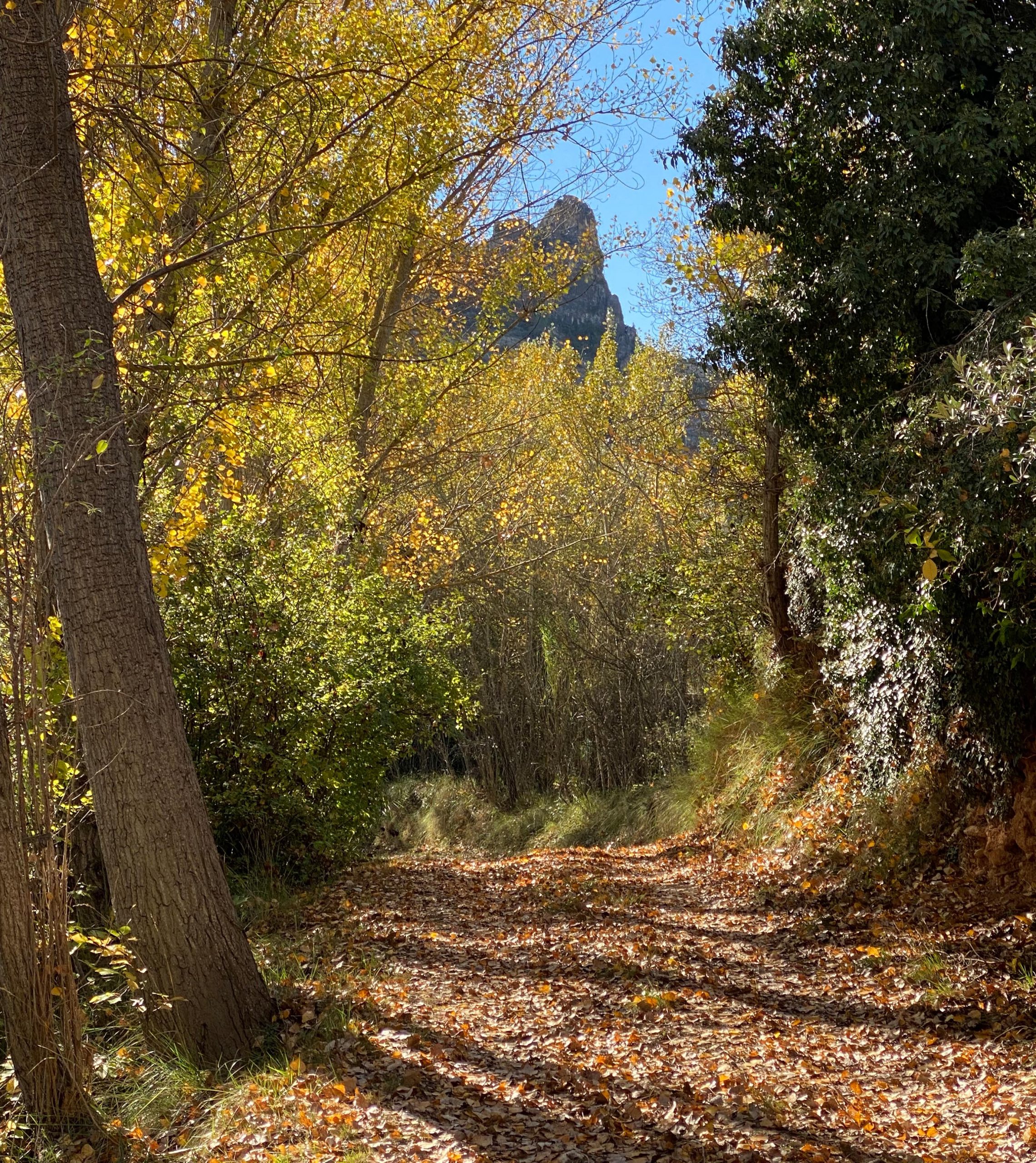 La Aldaba - foto de paisaje de la zona de Casa Bajas