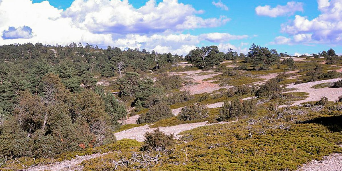 Alto de las Barracas