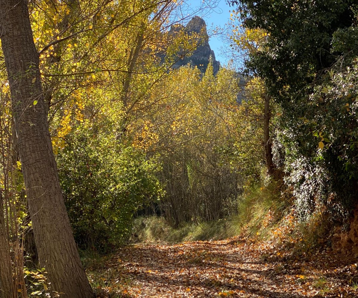 La Aldaba - foto de paisaje de la zona de Casa Bajas
